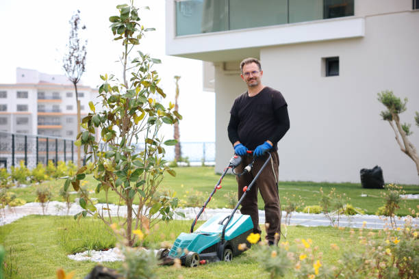 istock Garden and Landscaping Worker Mowing Backyard Lawn 1494290674