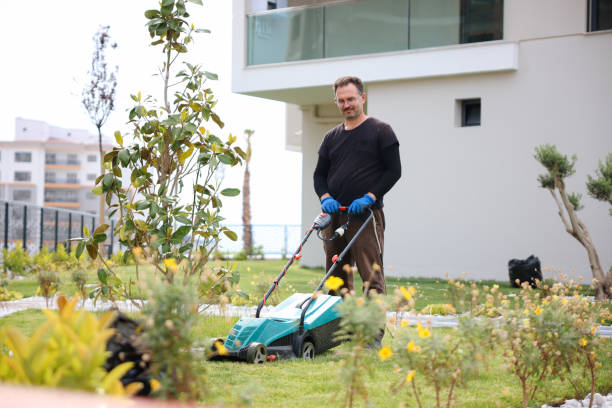 istock Garden and Landscaping Worker Mowing Backyard Lawn 1494290704