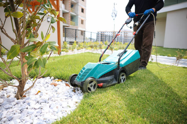 istock Garden and Landscaping Worker Mowing Backyard Lawn 1494290748