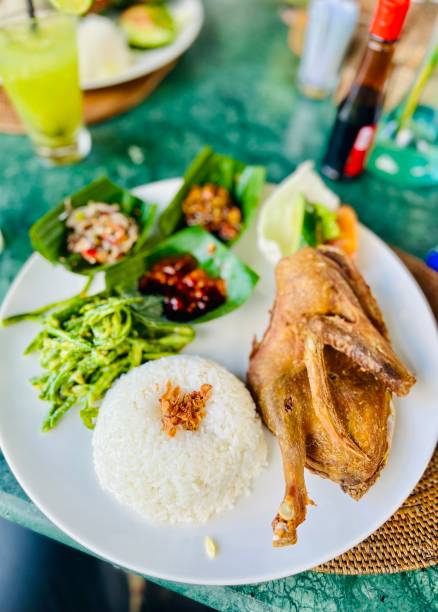 Fried Duck with Rice stock photo