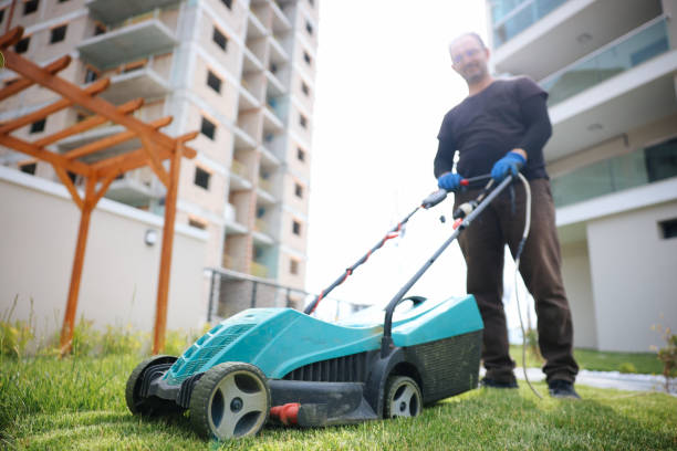 istock Garden and Landscaping Worker Mowing Backyard Lawn 1494290787