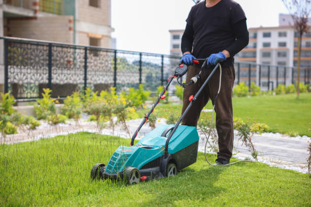 Garden and Landscaping Worker Mowing Backyard Lawn