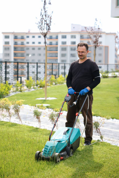 istock Garden and Landscaping Worker Mowing Backyard Lawn 1494290843