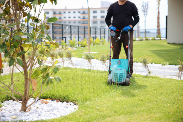 istock Garden and Landscaping Worker Mowing Backyard Lawn 1494290863