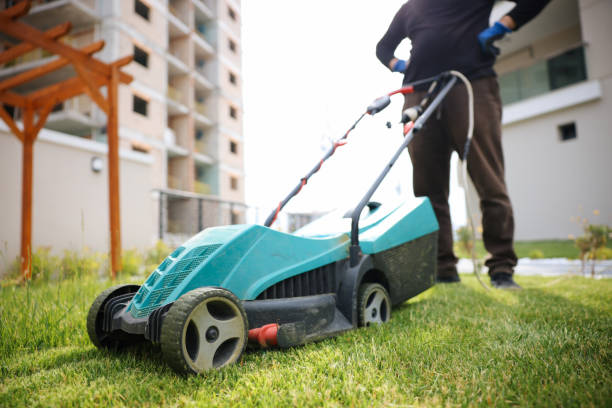 istock Garden and Landscaping Worker Mowing Backyard Lawn 1494290931