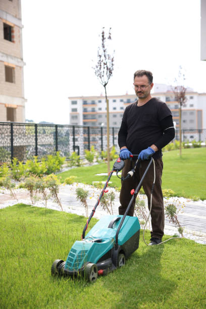 istock Garden and Landscaping Worker Mowing Backyard Lawn 1494290968