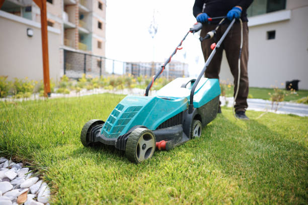 istock Garden and Landscaping Worker Mowing Backyard Lawn 1494291002