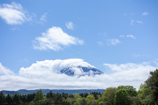 landscape view of mount Fuji enshrouded in clouds with clear blue sky