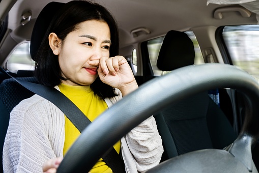 Scented Struggles with Frustrated Asian Womanunhappy  Driving in a Malodorous Car