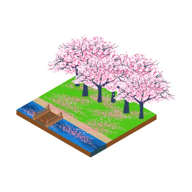 Vector illustration of Isometric cherry blossom forest with river and bridge