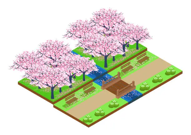 Vector illustration of isometric park with sakura