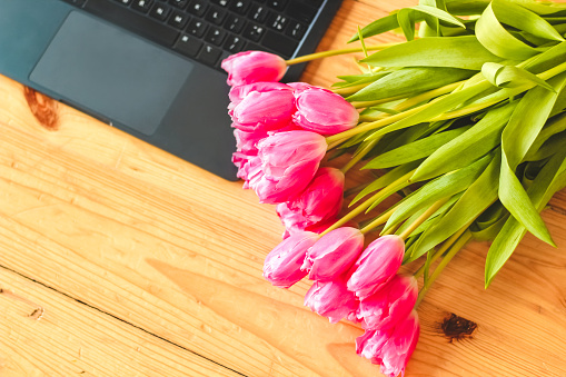 A bouquet of pink tulips flowers on a background of boards with an open laptop