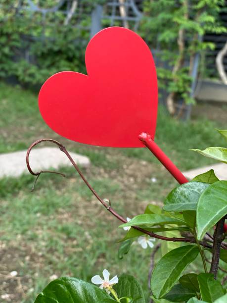 istock Heart in Seoul Korea 1494309755