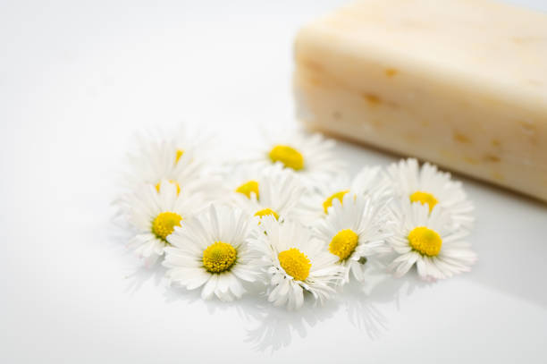 istock Natural cosmetics concept. stack of handmade soap and chamomiles flowers. 1494310138
