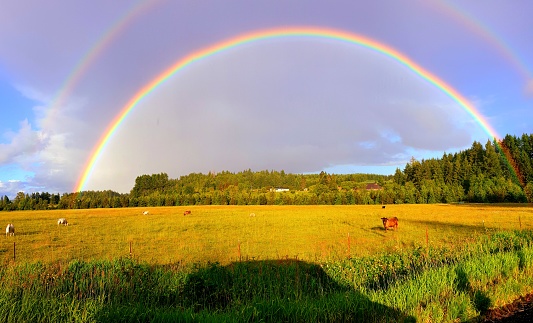 Rainbow across fields