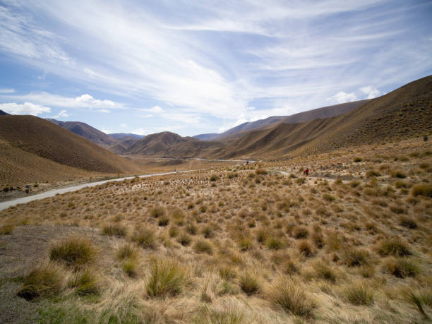 istock Dry terrain of the Middle Earth 1494314428