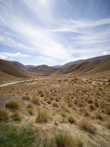 istock Dry terrain of the Middle Earth 1494314490