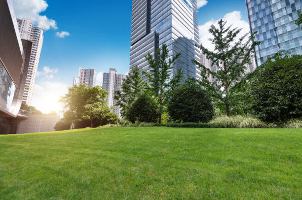 istock City park with office buildings 1494314881