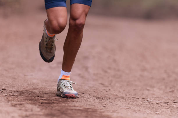 istock Trail runner running in summer mountain nature landscape on difficult path in mountains 1494318350