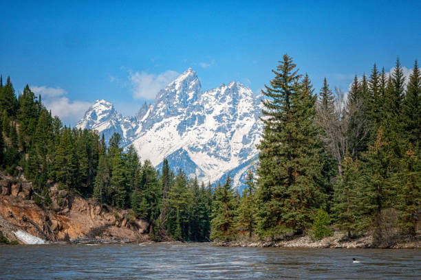 View of the Grand Teton mountains from a raft floating down. the Snake River.