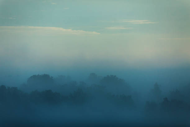 istock Morning mist over forest. Twilight. Rainforest. Drone point of view. Fog 1494320621