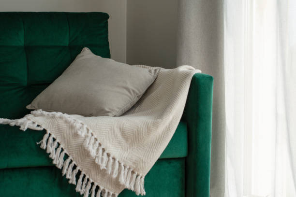 istock modern living room with green coach 1494322161