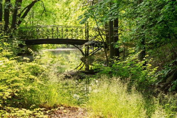 istock beautiful iron bridge in summer green park 1494322178