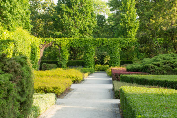 istock beautiful urban summer park in sunlight 1494322727
