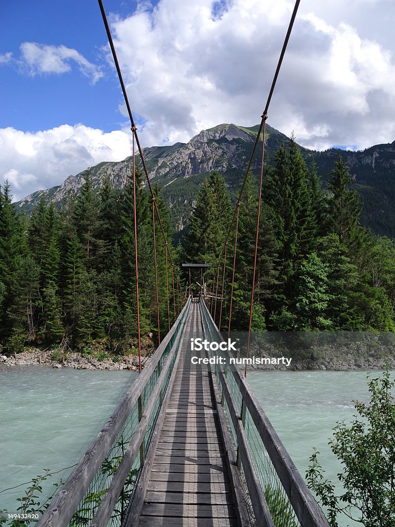 swing puente - Foto de stock de Abeto libre de derechos