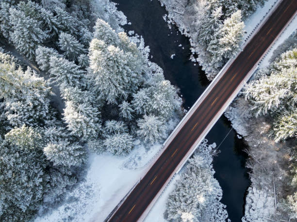 istock Morning view of the snow covered forest 1494325496