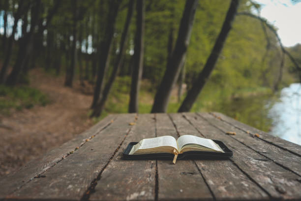 istock Open Bible on a wooden board near the river 1494325500