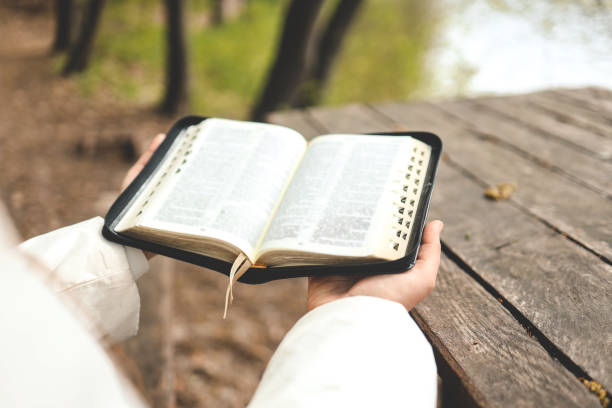 istock Open Bible in hands, morning reading in nature 1494325503