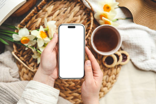 istock Hands with phone with isolated screen on background of spring composition 1494326099