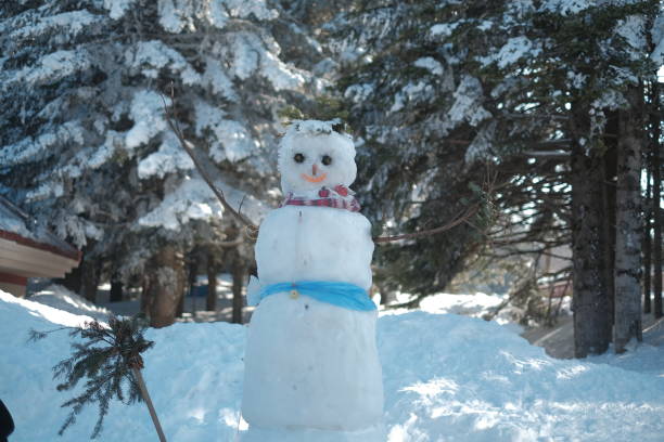 istock Snowman with carrot nose and blue scarf 1494326903