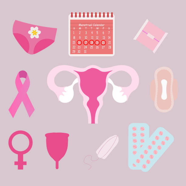 ilustraciones, imágenes clip art, dibujos animados e iconos de stock de calendario menstrual, ciclo menstrual, embarazo y concepto de control de la ovulación. 
calendario, menstruación, mujer - pms