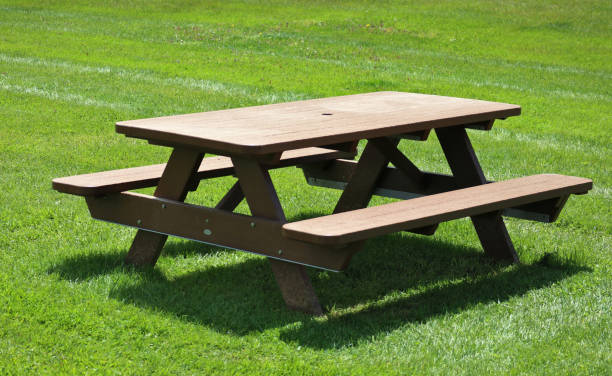 istock wood picnic table on green lawn (grass, sunshine, detail, closeup, macro) outdoor dining, spring, summer 1494330665