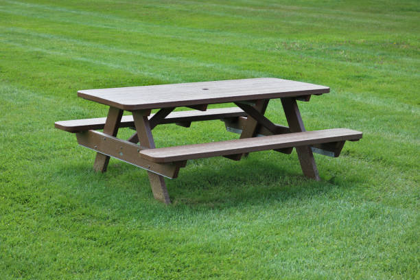 istock wood picnic table on green lawn (grass, sunshine, detail, closeup, macro) outdoor dining, spring, summer 1494330813