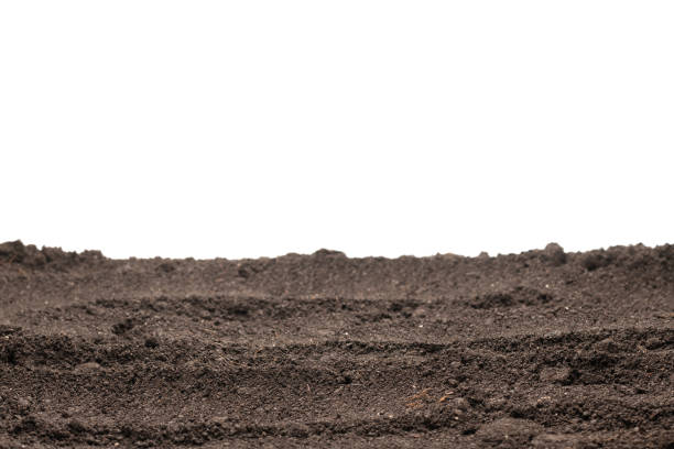 istock Black land for plant isolated on white background. 1494330977