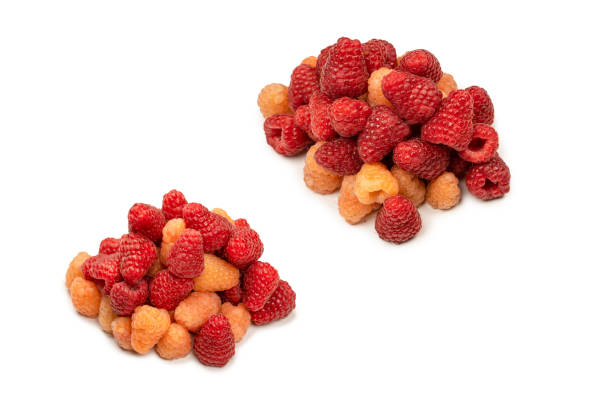 istock Tasty raspberries isolated on  white background. 1494331012