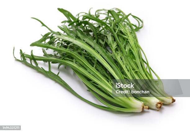 Erba Stella Bucks Horn Italian Vegetable Stock Photo - Download Image Now - Close-up, Color Image, Cut Out