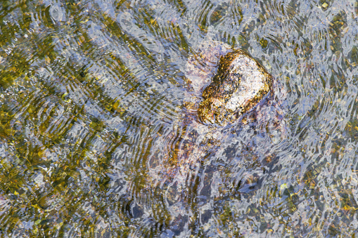 picture of a rock under the rippled water surface of a pond