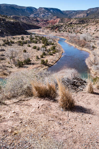 istock Small creek in the canyons 1494333001