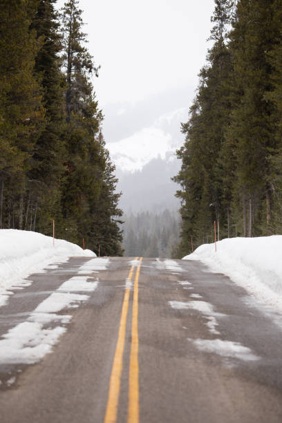 istock Snowy Road in Yellowstone 1494334393