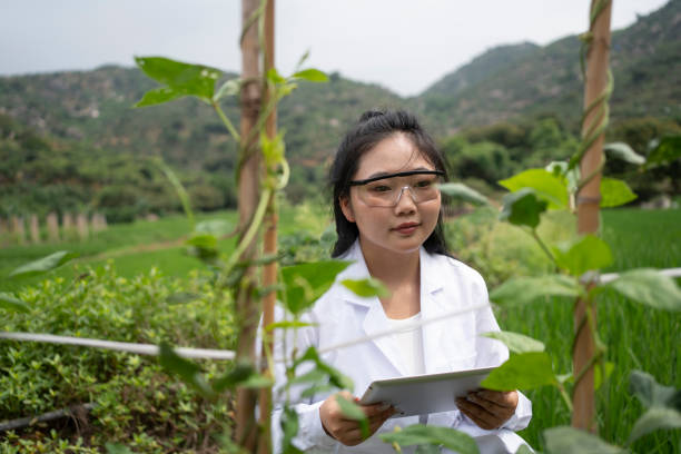 istock Young women evaluate plant growth and use tablets 1494334477