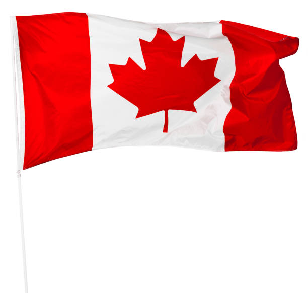istock Canadian Flag isolated on white 1494337173