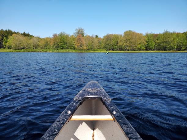 istock Canoeing in Kejimkujik Park Lake 1494338038