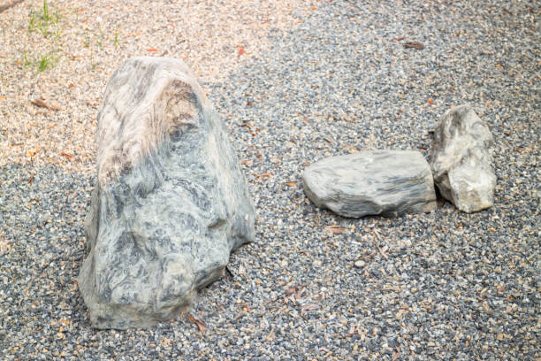 istock Olive tree in stone pebble garden 1494338058