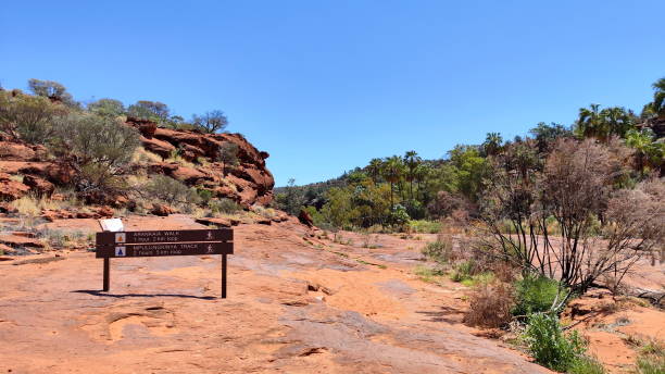 istock Absolute outback of the Northern Territory, Australia 1494339741