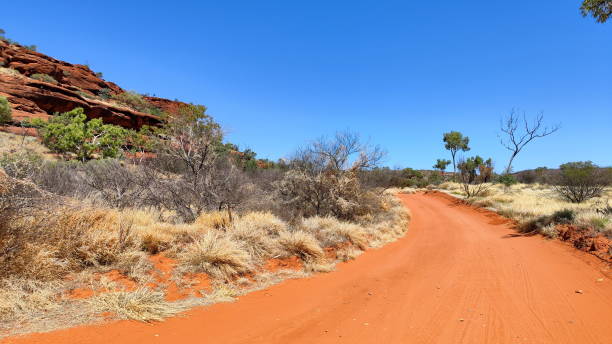 istock Absolute outback of the Northern Territory, Australia 1494339780