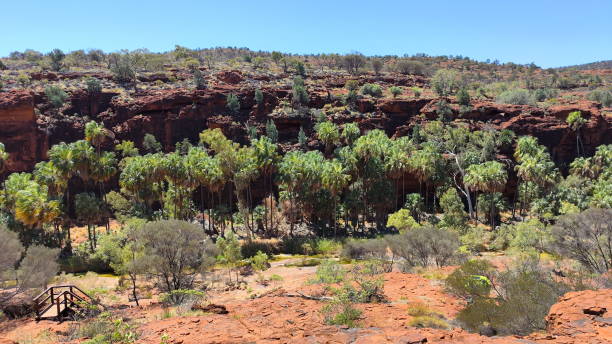 outback assoluto del territorio del nord, australia - 11874 foto e immagini stock